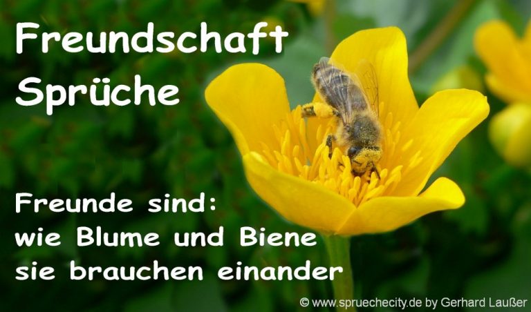gute Besserung Wünsche zur Gesundheit Glückwünsche zur Genesung Sprüche