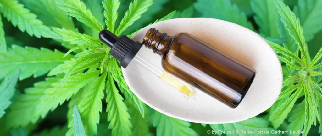 cannabis-pflanzen-headshops-natur-cbd-oel-medizin-produkt-oel