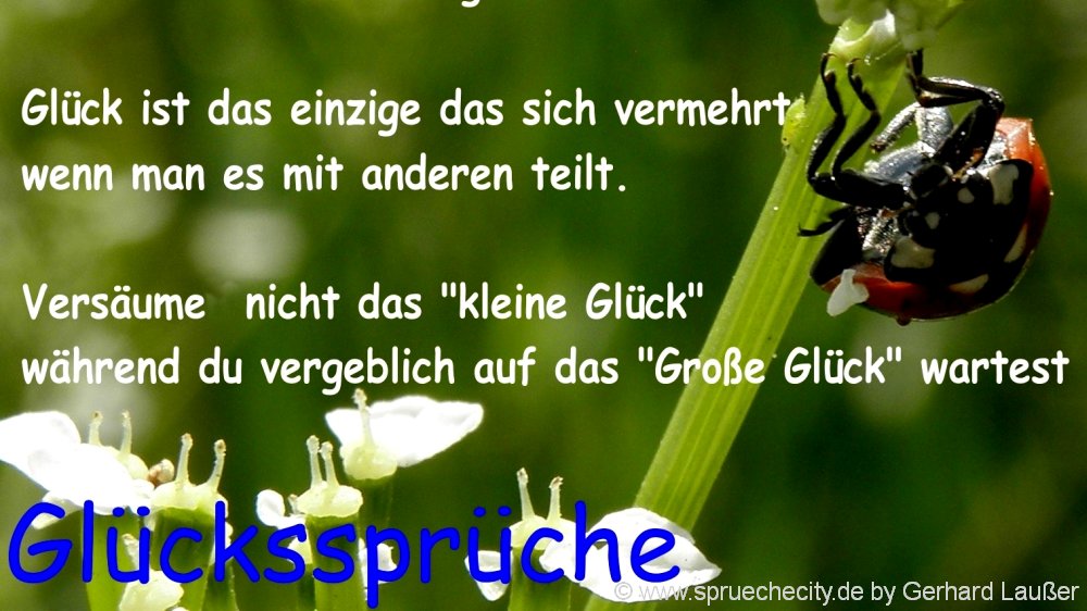 glücksspruch-wahre-weisheiten-sprüchebilder-1000