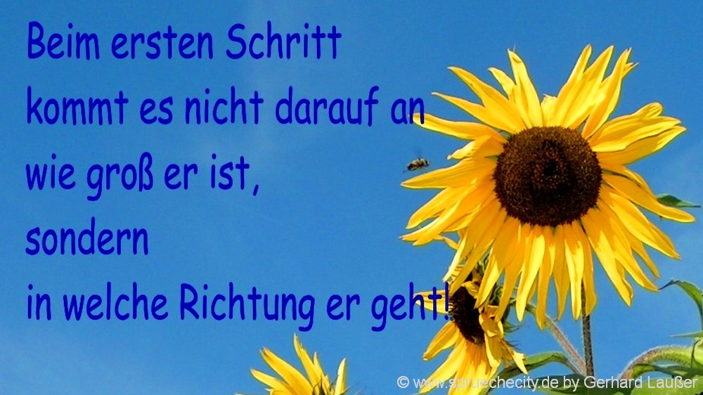 motivationsspruch-wahre-worte-spruechebilder-kluge-weisheiten-1000