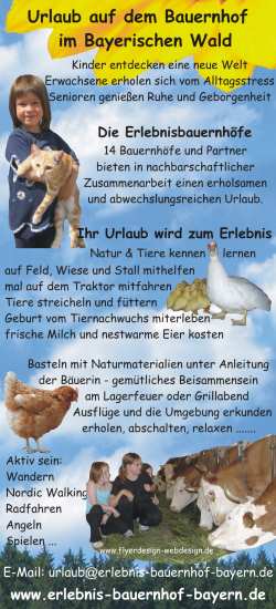Werbeanzeigen Erstellung Gestaltung und Design - Inserate Annoncen